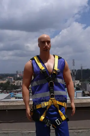 Adjustable Parnecia Harness Fall Protection