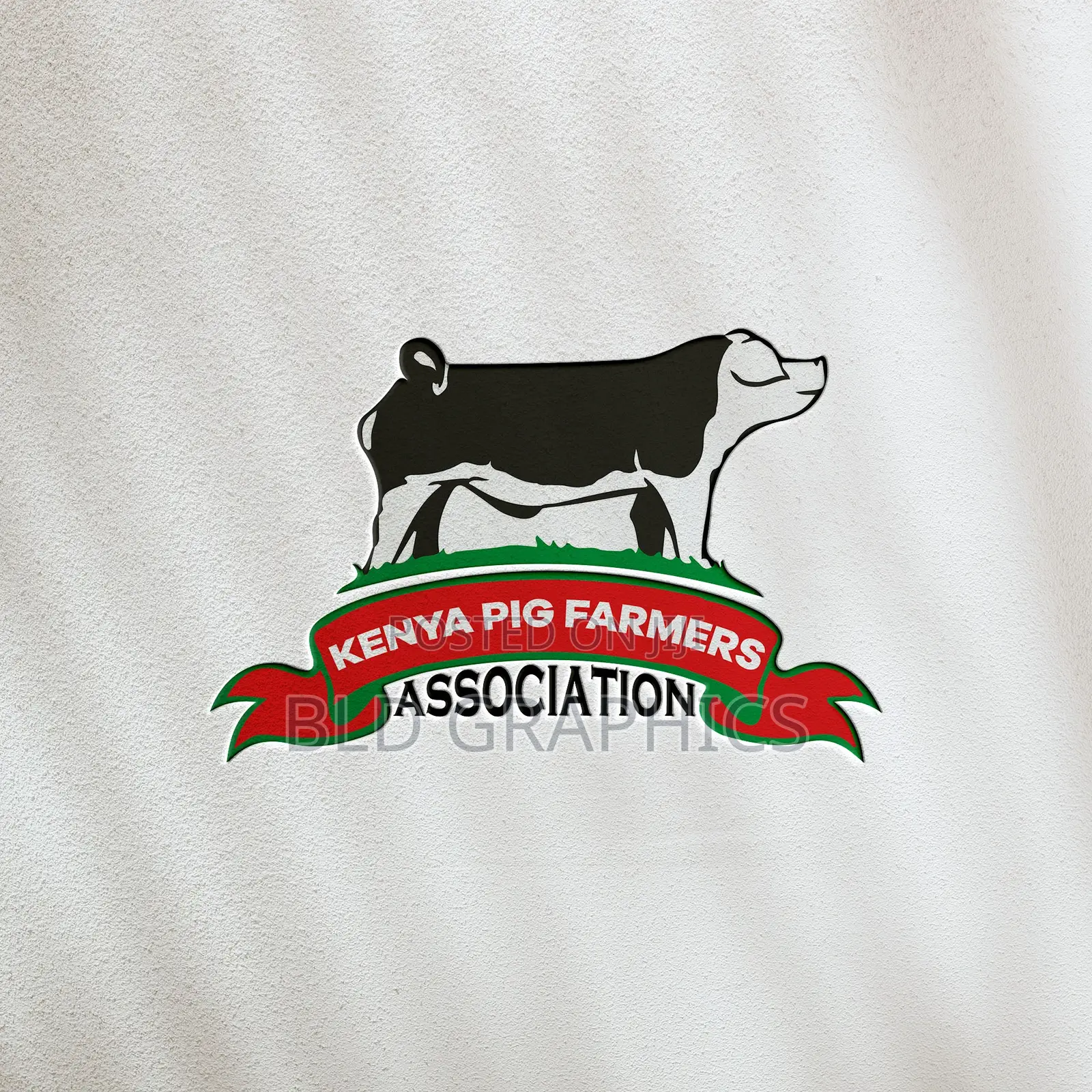 Logo + Brand Identity Design