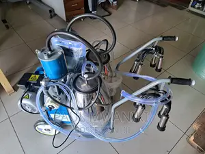 Stainless Steel Double Buckets Milking Machine.