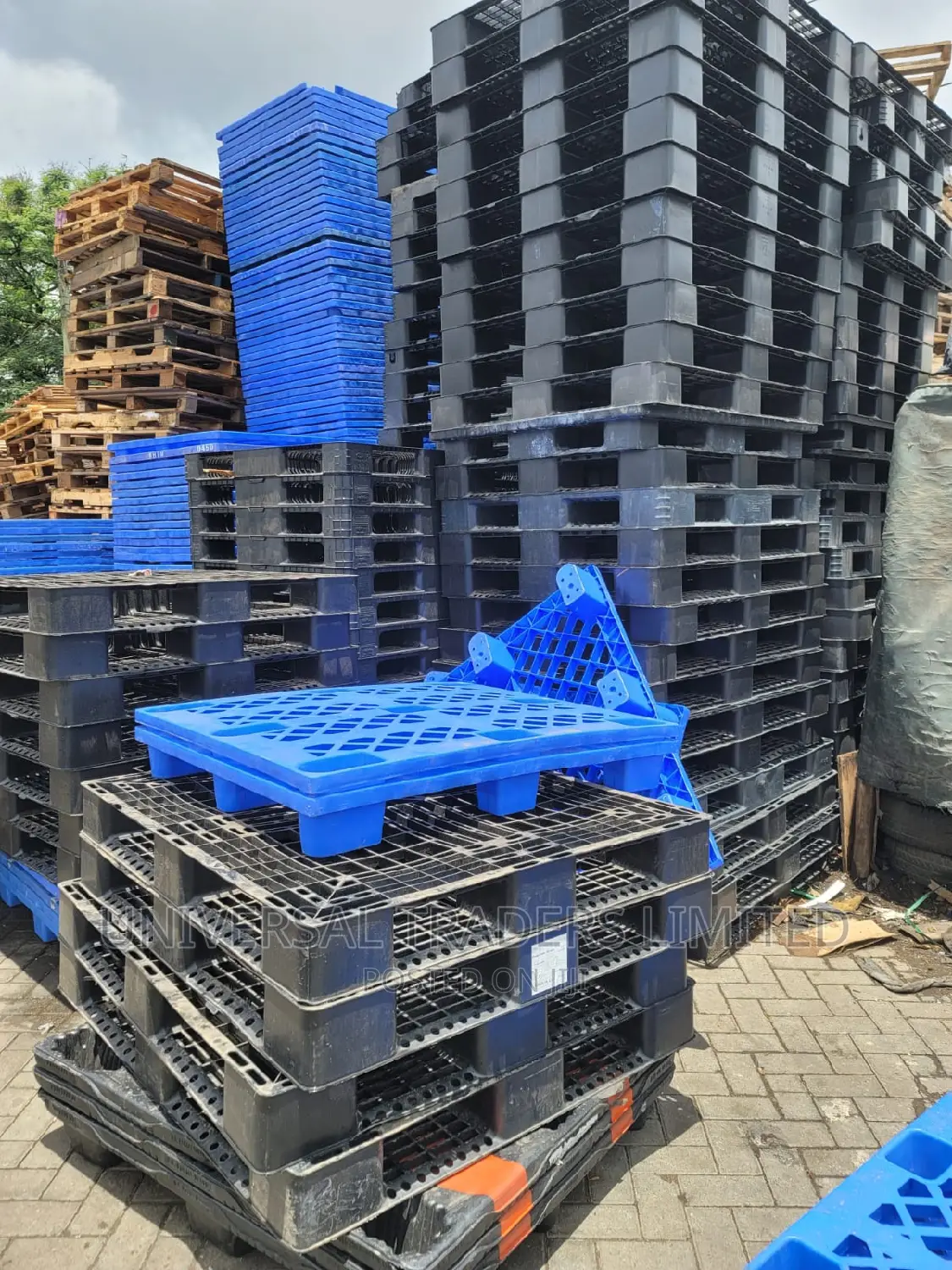 Pallets -Plastic Pallets - Clean Plastic Pallets for Storage