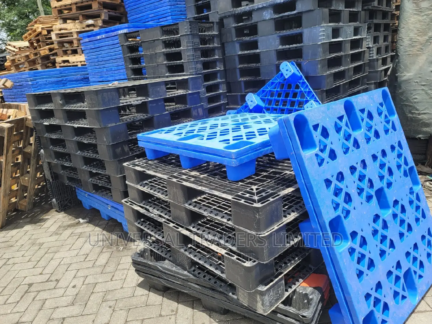 Plastic Pallets - Storage Pallets - Export Plastic Pallets