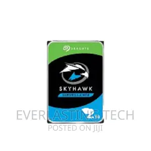 Seagate Surveillance 2 TB Hard Disk
