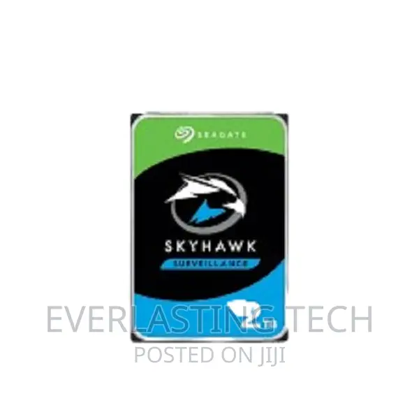 Seagate Surveillance 2 TB Hard Disk
