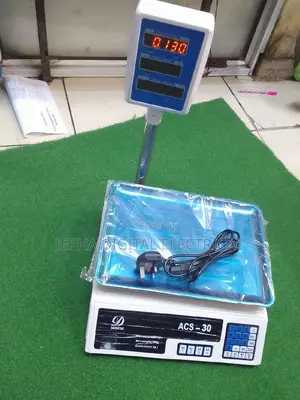 Electric Price Computing Scale