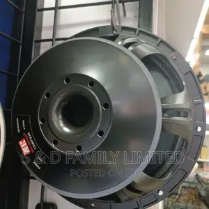 12 Inch Midrange Naked Speaker