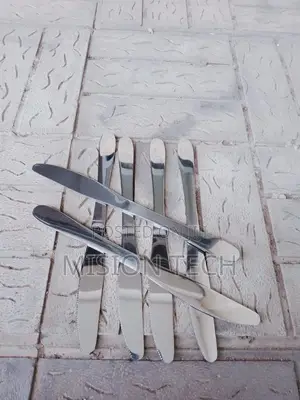 Brand New Heavy Gange Stainless Steel Knives