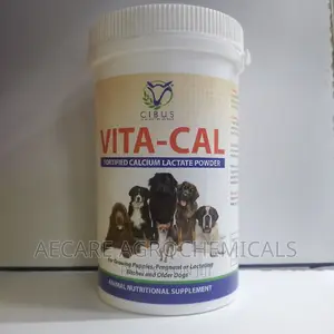 Vita-Cal Calcium Lactate Powder 200G Nutritional Sup
