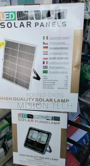 100 Watts Floodlight