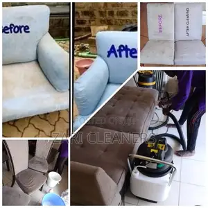 Professional in General Sofa Cleaners