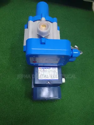Pedrollo Water Pump +Controller Switch