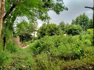 Prime Quarter Acre Plot in Ngong Along Maragara Rd, Directly Touching Tarmac