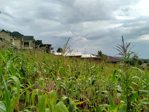 Residential Quarter Acre Plot in Ngong, Maragara. Red Soil