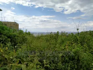 5 Acres in Ngong Touching Tarmac. Rift Valley, Longonot View