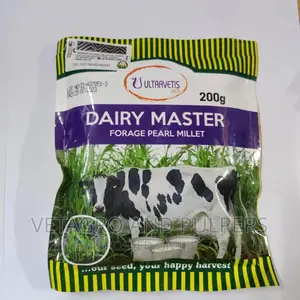 Dairy Master Forage Pearl Millet