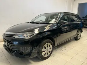 Toyota Corolla Fielder 2017 Gray