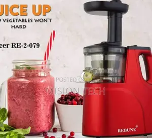 Rebune Slow Juicer 150 W Juicer