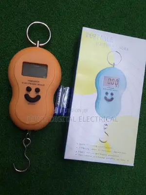 Portable Weighing Scale 50kg Original
