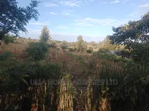 1 Acre in Kimutwa,Kaathi MKS 12from MKS