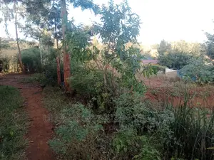 Quarter Acre Plus in Kimutwa Near the Market,800m