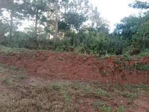 5 by 100 Plots at Katoloni/Kenya Israel Machakos