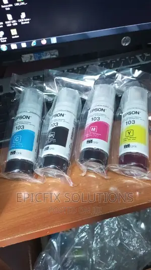673 Original Epson Printer
