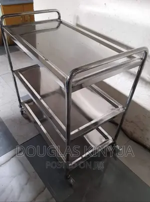 Stainless Steel Food Trolley ( Commercial).