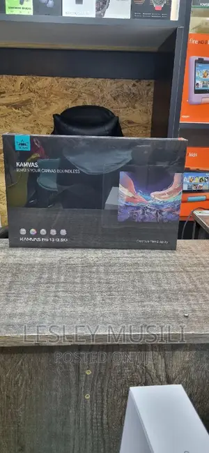 HUION Kamvas Pro 13 2.5QHD Graphics Monitor Drawing