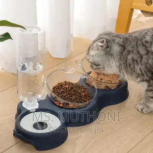 Automatic Double Pet Bowl