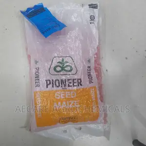 Pioneer Maize Seeds 3253. 2kgs