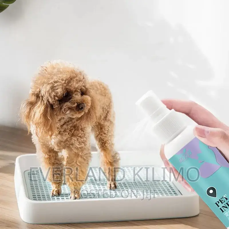 Dog Potty Training Spray