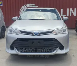 Toyota Corolla Fielder 2017 Silver