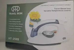 Steam Iron Box