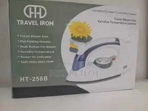 Electric Steam Iron