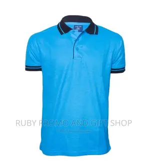 Tea Blue Polo T-Shirt With Black Striped Colar