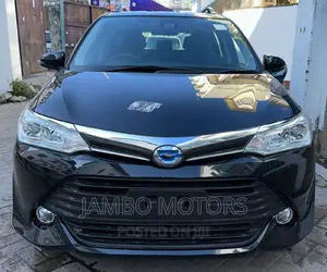 Toyota Corolla Fielder 2017 Black