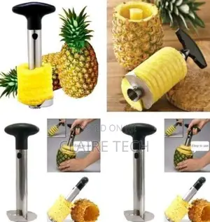Stainless Steel Pineapple Peeler/Pineapple Slicer