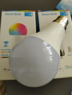 RGB Warm and Cold Bulb