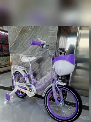 Purple Lady Bird Size 20 Bike