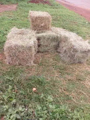 Hay Bales Stack For Event Decor In Kiambu Kileleswa Lavington
