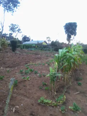50 by 100 Mwiciringiri