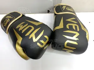 Venum Boxing Gloves