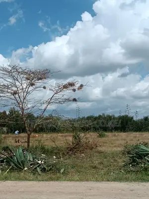 50*100 Malaa Plots at 599,000^AC
