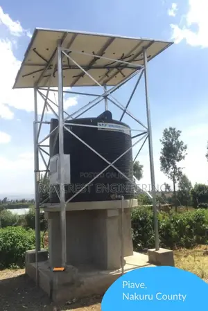 Borehole Rehabilitation Services