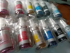 673 Epson Original Inks