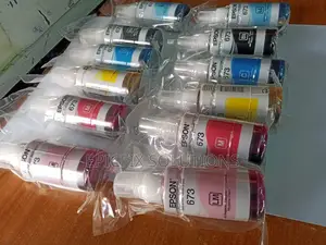 673 Epson Original Inks