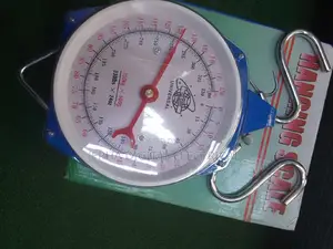 150kg Hanging Scale