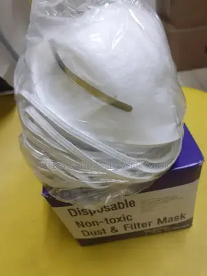 Protective Disposable Dust Mask Certified