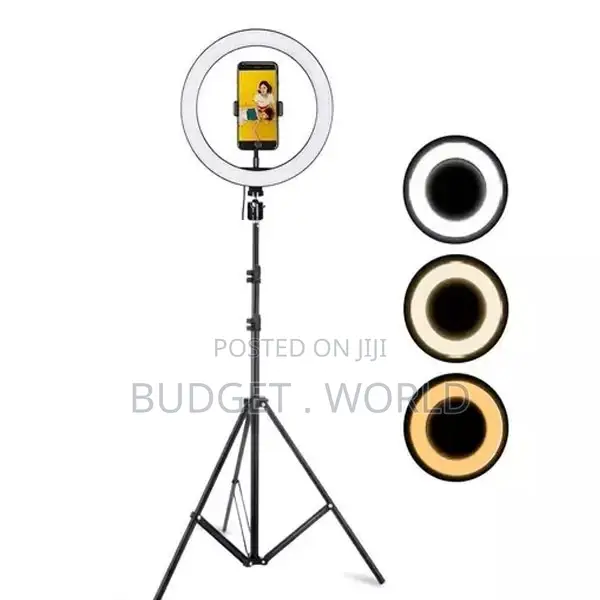 Hot Sale Affodable- 12" LED Ring Light Plus Stand