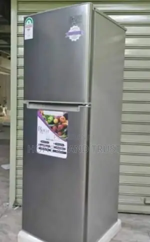 Roch 168 Liters RFR210DTI Double Door Fridge