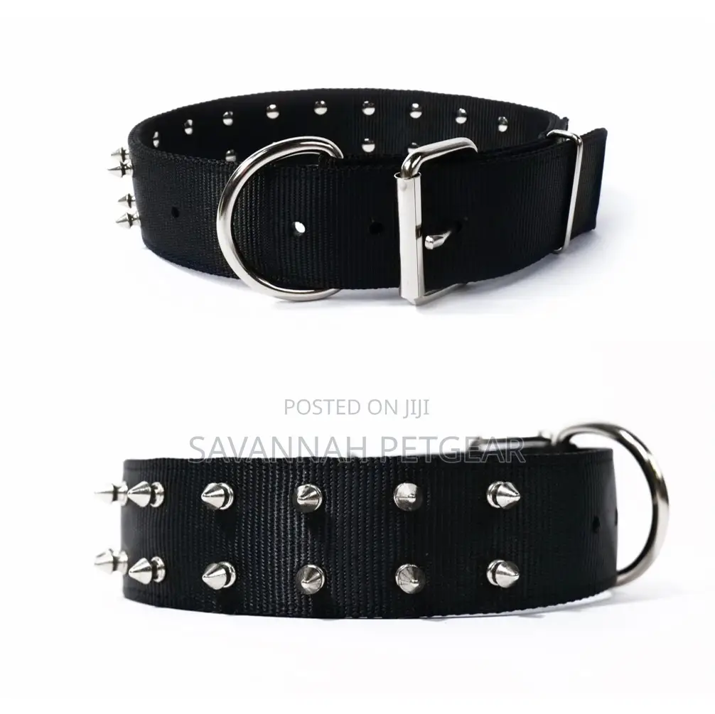 T-Rex Protective Spiked Dog Collar